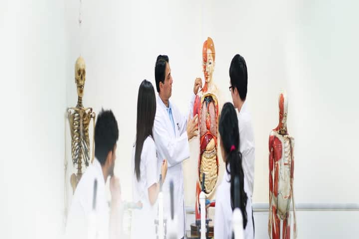 Gallery Image 7
