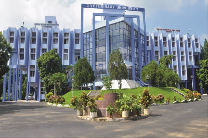 TANUVAS Chennai
