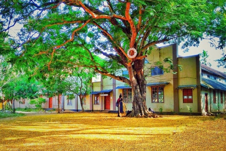 Sree Narayana College Kollam