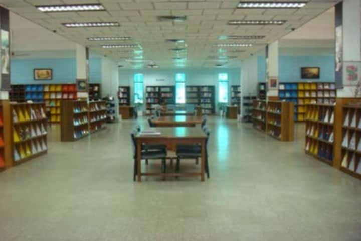 Gallery Image 9