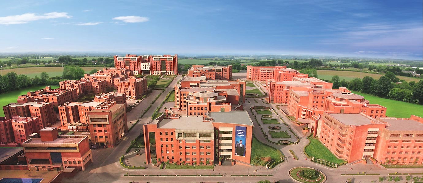 🎓 How Amity University Noida Helps Students Build Successful Careers