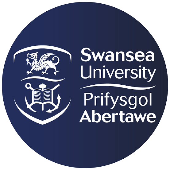 Swansea University