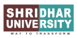 Shridhar University