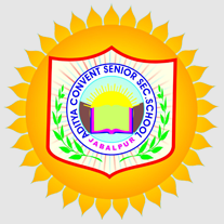 Aditya Convent School 